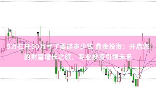 5万杠杆50万亏了要赔多少钱 鼎金投资：开启您的财富增长之旅，专业投资引领未来