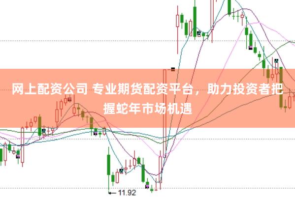 网上配资公司 专业期货配资平台，助力投资者把握蛇年市场机遇