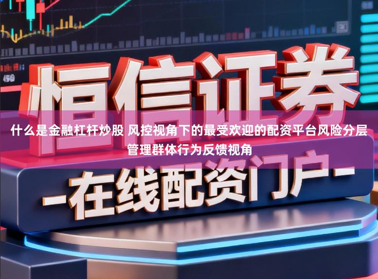 什么是金融杠杆炒股 风控视角下的最受欢迎的配资平台风险分层管理群体行为反馈视角
