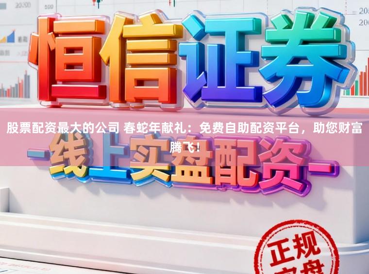 股票配资最大的公司 春蛇年献礼：免费自助配资平台，助您财富腾飞！