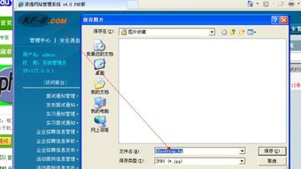 帝国cms 会员中心 左上角的 图标如何更换